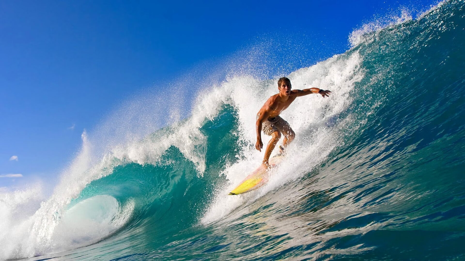 体育明星最新比赛数据